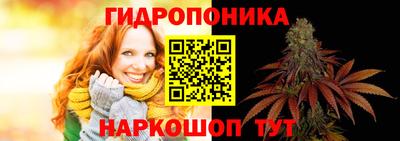 прущие грибы Кизляр
