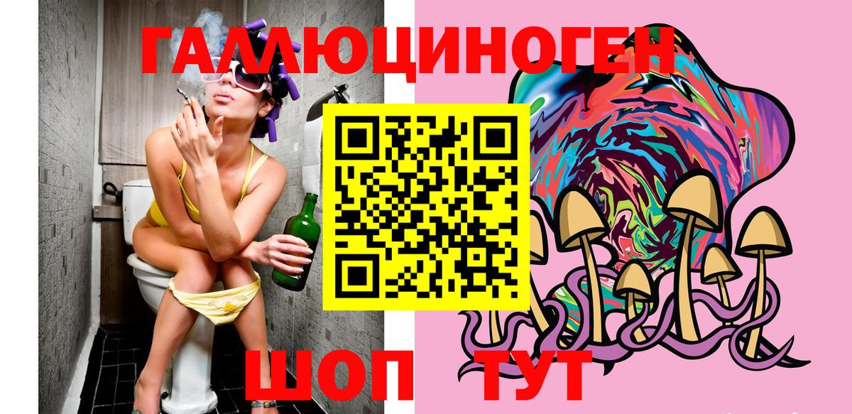 хочу наркоту  Вход с VPN  Карачаевск  Галлюциногенные грибы Magic Shrooms 