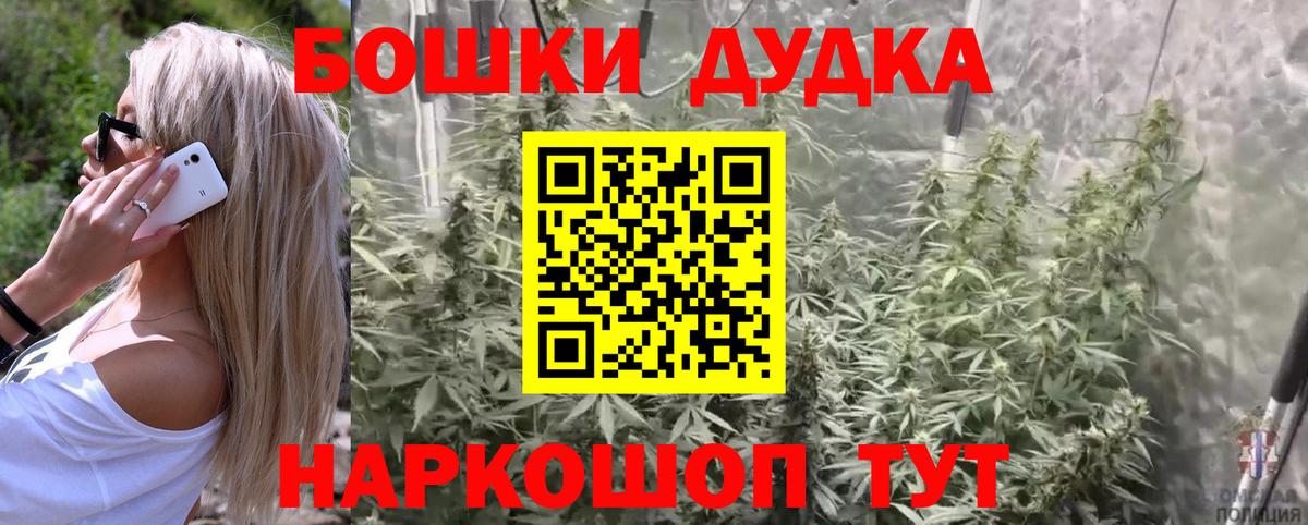 Каннабис индика Карачаевск